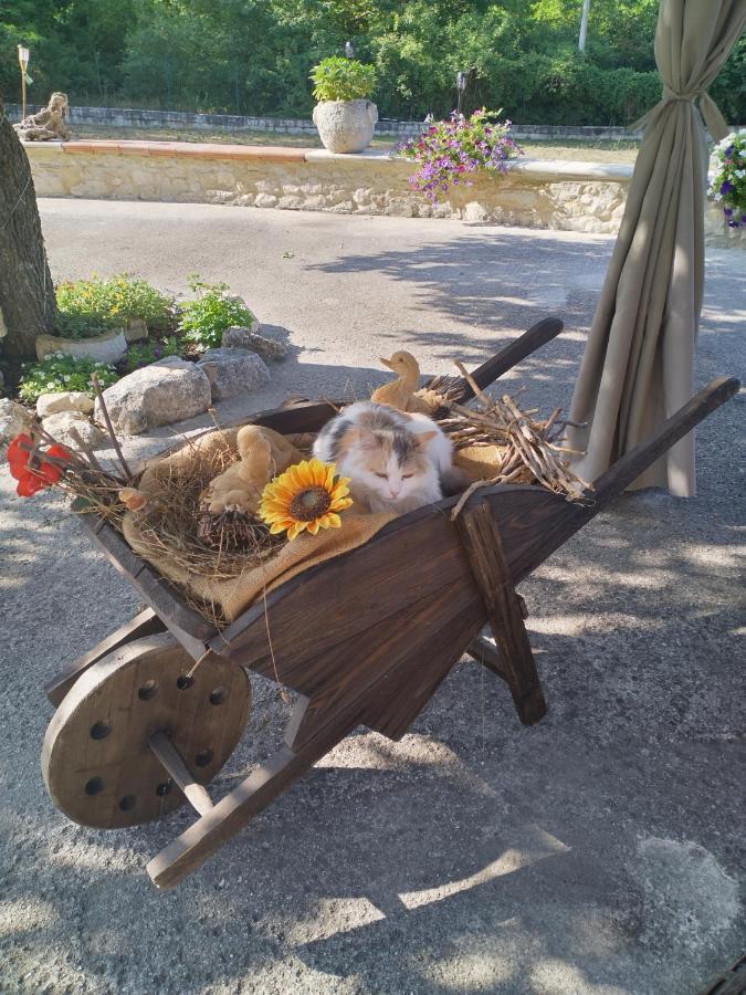 Penzion "Il Miglio" Country House Pettorano sul Gizio Exteriér fotografie