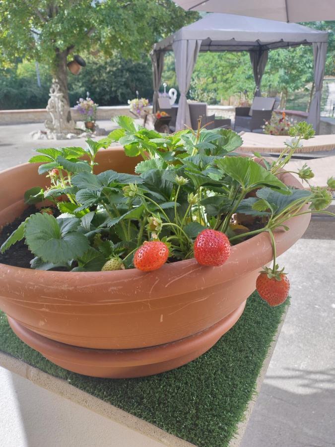 "Il Miglio" Country House Pettorano sul Gizio Exteriér fotografie